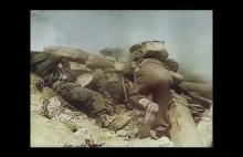 Czerwone maki na Monte Cassino | PIEŚŃ PATRIOTYCZNA *NA NOWO*