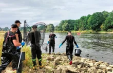 Greenpeace: To śląskie kopalnie odpowiadają za katastrofę ekologiczną na Odrze