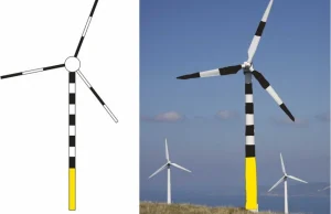 Czarno-białe turbiny wiatrowe mogą ocalić życie milionów ptaków
