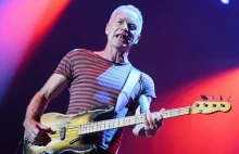 Sting ostrzega przed muzyką stworzoną przez AI