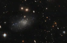 Nieodkryte galaktyki Grupy Lokalnej