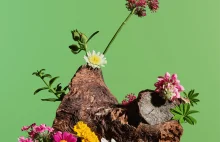 Canva chce dokopać Adobe, Affinity za darmo.