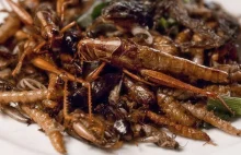 Na Śląsku otwarto pierwszy sklep z jadalnymi owadami. „Smakują jak chipsy"