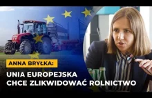 Tragiczny obraz rynku rolno-spożywczego w Polsce