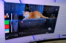 Historyczne nagranie. NASA pokazała kota z kosmosu