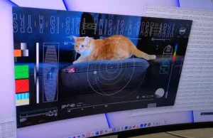 Historyczne nagranie. NASA pokazała kota z kosmosu
