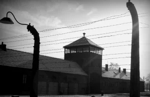Bestialski system kar w Auschwitz. Niemcy nie mieli żadnej litości