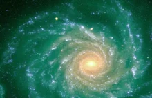 Świat według Kiepskich - Jezus i w---a