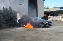 Peugeot 508 PHEV zapalił się podczas... ładowania. Samochód doszczętnie spłonął