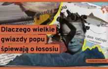 Dlaczego wielkie gwiazdy popu śpiewają o łososiach - Dział Zagraniczny