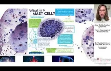 Mast Cell Activation Syndrome