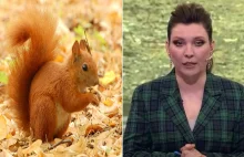 Skabeyeva mówi, że niektóre restauracje w Wielkiej Brytanii serwują wiewiórki