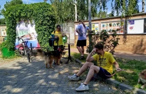 Urzędniczka, która skazuje psy na bezdomność, czyli nowa dyrektorka na Paluchu