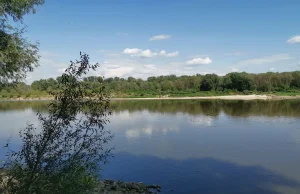 Biwakowanie w lesie będzie legalne. Ale tylko w wyznaczonych miejscach