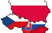 List otwarty: Polacy przepraszają Czechów, Słowaków, Węgrów i Rumunów za...
