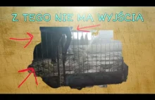 Z TEGO NIE MA WYJŚCIA