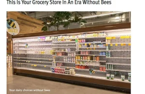 Tak będą wyglądały sklepy, gdy zabraknie pszczół.