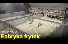 Jak działa fabryka frytek? - [Fabryki w Polsce]