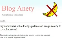 Na ten blog czekał cały internet