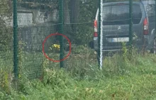 Lublin: Ktoś powiesił się za budynkiem liceum na Tatarach