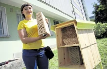 W Lublinie zostały otwarte hotele dla pszczół - Wieści - MM Moje Miasto