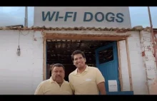 Wi-Fi Dogs