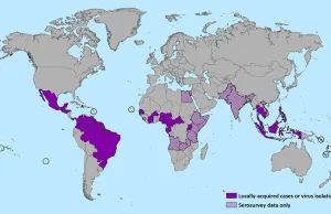 Wirus Zikancoraz bliżej.
