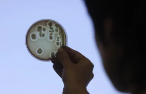 Przemożna siła adaptacji - Human Microbiome Project