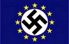 Mitteleuropa a Unia Europejska. Różne projekty, te same cele.