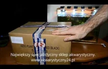 Unbox paczki z produktami do krewetkarium.