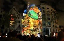 Mapping Casa Batlló Barcelona 2015
