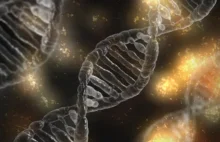 Naukowcy opracowali nową, bardziej precyzyjną metodę edycji genów