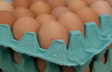 Kupiłeś te jajka? Uważaj! Mogą być niebezpieczne dla zdrowia!