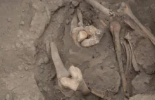 Koło Kielc odnaleziono szczątki czterech ofiar egzekucji komunistycznej