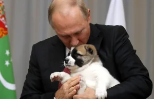 Rosja. Nowy pies Władimira Putina