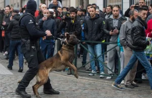 90% młodych muzułmanów z Schaerbek i Molenbeek ma terrorystów za bohaterów