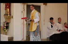 Wizja św. Jana Bosko - dwa filary (ks. Najmowicz)