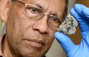 Pozaziemska forma życia w meteorycie ze Sri Lanki?