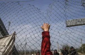 KE do Orbana: Solidarność działa w dwie strony, nie finansujemy płotów