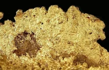 Złoto przybyło na Ziemię z kosmosu?