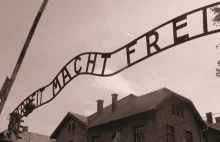 „Pamięć o Auschwitz pozostanie po wsze czasy odpowiedzialnością Niemiec”