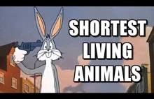 10 animals with shortest...