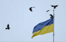 Na Ukrainie brakuje pracowników - wszyscy wyjechali do Polski