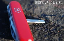 Victorinox Camper – test, recenzja