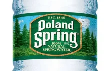 Słynna amerykańska marka wody "Poland Spring" została pozwana