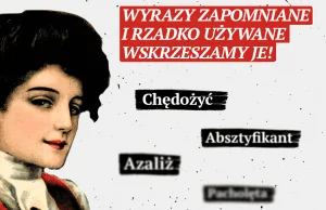 Chędożyć, absztyfikant, huncwot. Wyrazy zapomniane i rzadko używane –...