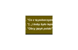 Obcy język polski. A nuż widelec wejdzie na główną.