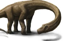 Nowy gigantyczny dinozaur z Ameryki Południowej