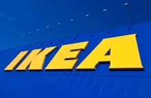 IKEA uruchamia sklep internetowy! Znamy szczegóły