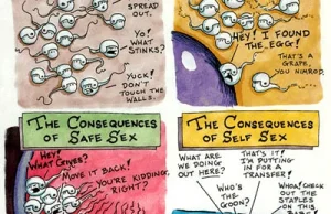The consequences Of Sex